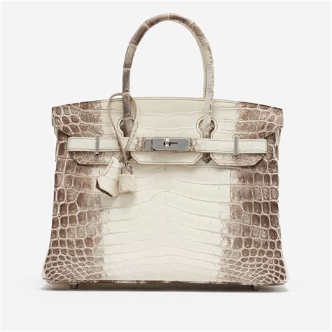 himalaya birkin hermes